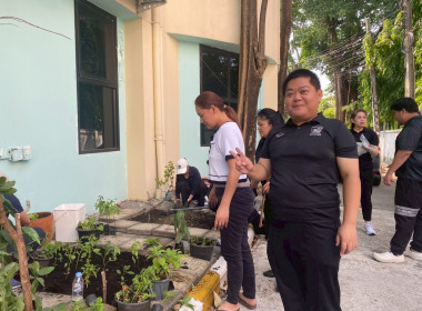 “ปลูกพืชผักสวนครัว” ภายใต้โครงการส่งเสริมองค์กรคุณธรรม ... พารามิเตอร์รูปภาพ 9